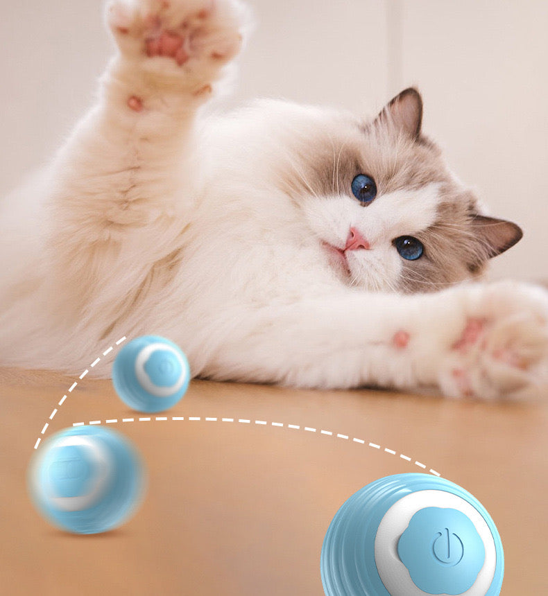 Auto rolling cat toy ball, Rechargeable, 60 minutes duration, Food grade silicone, 42mm