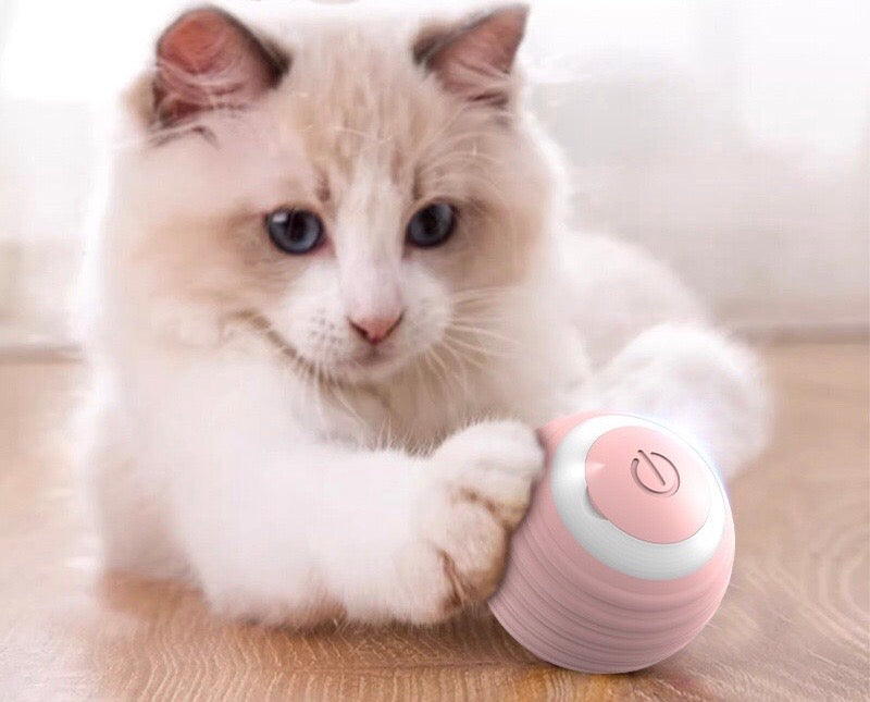 Auto rolling cat toy ball, Rechargeable, 60 minutes duration, Food grade silicone, 42mm