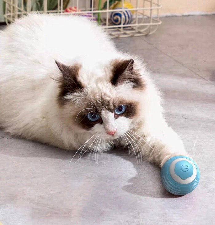 Auto rolling cat toy ball, Rechargeable, 60 minutes duration, Food grade silicone, 42mm