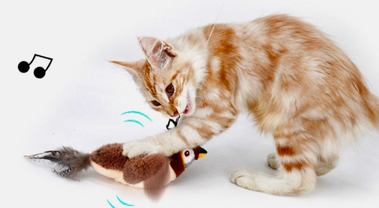 Bird Cat Toy